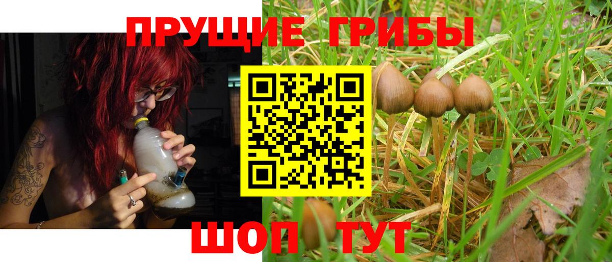 Моздок  Галлюциногенные грибы мухоморы  Галлюциногенные грибы Psilocybine cubensis  Вход с VPN 